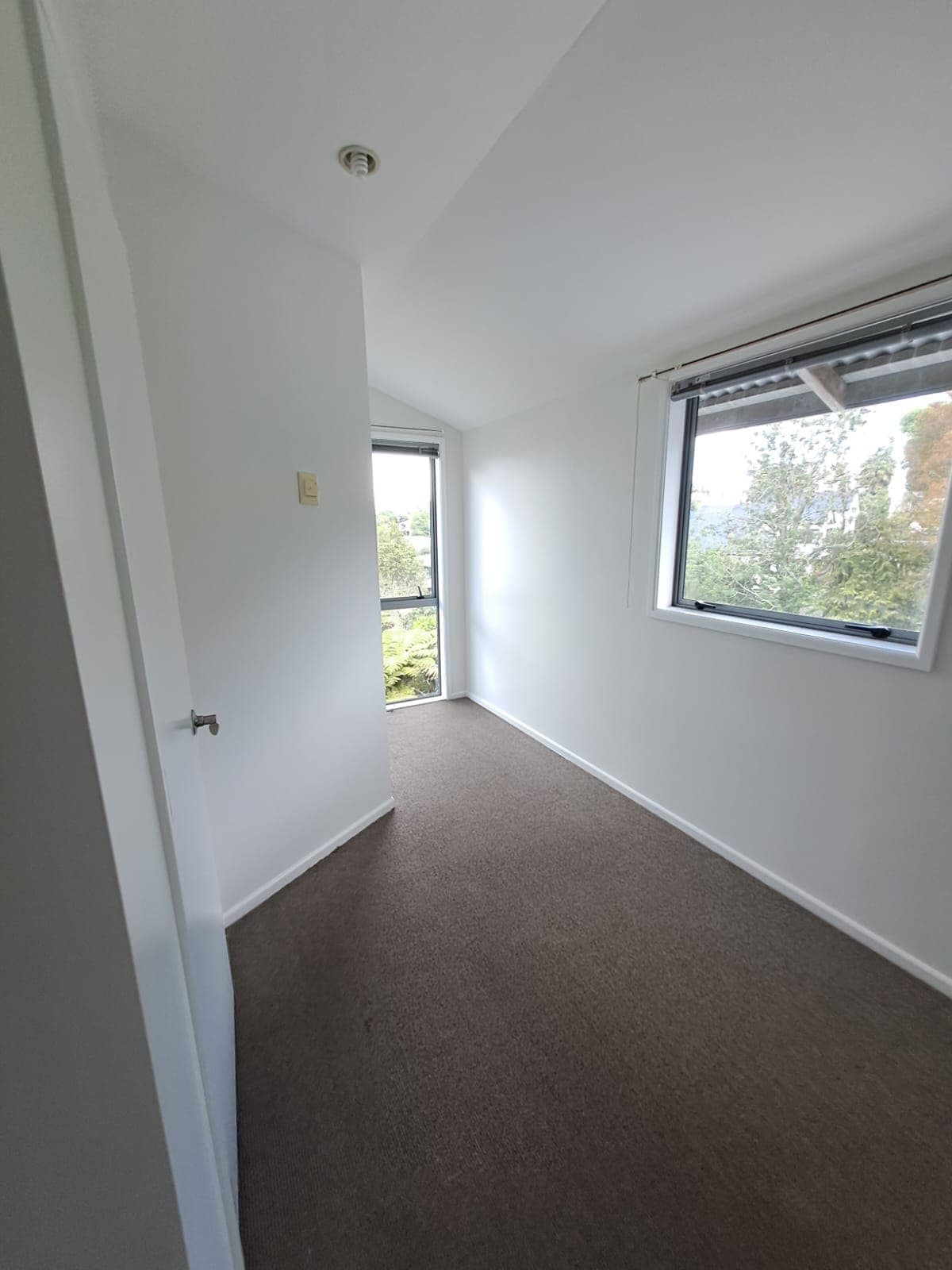 Freshly painted bedroom with two windows and brown carpet - Ambient Civil Auckland