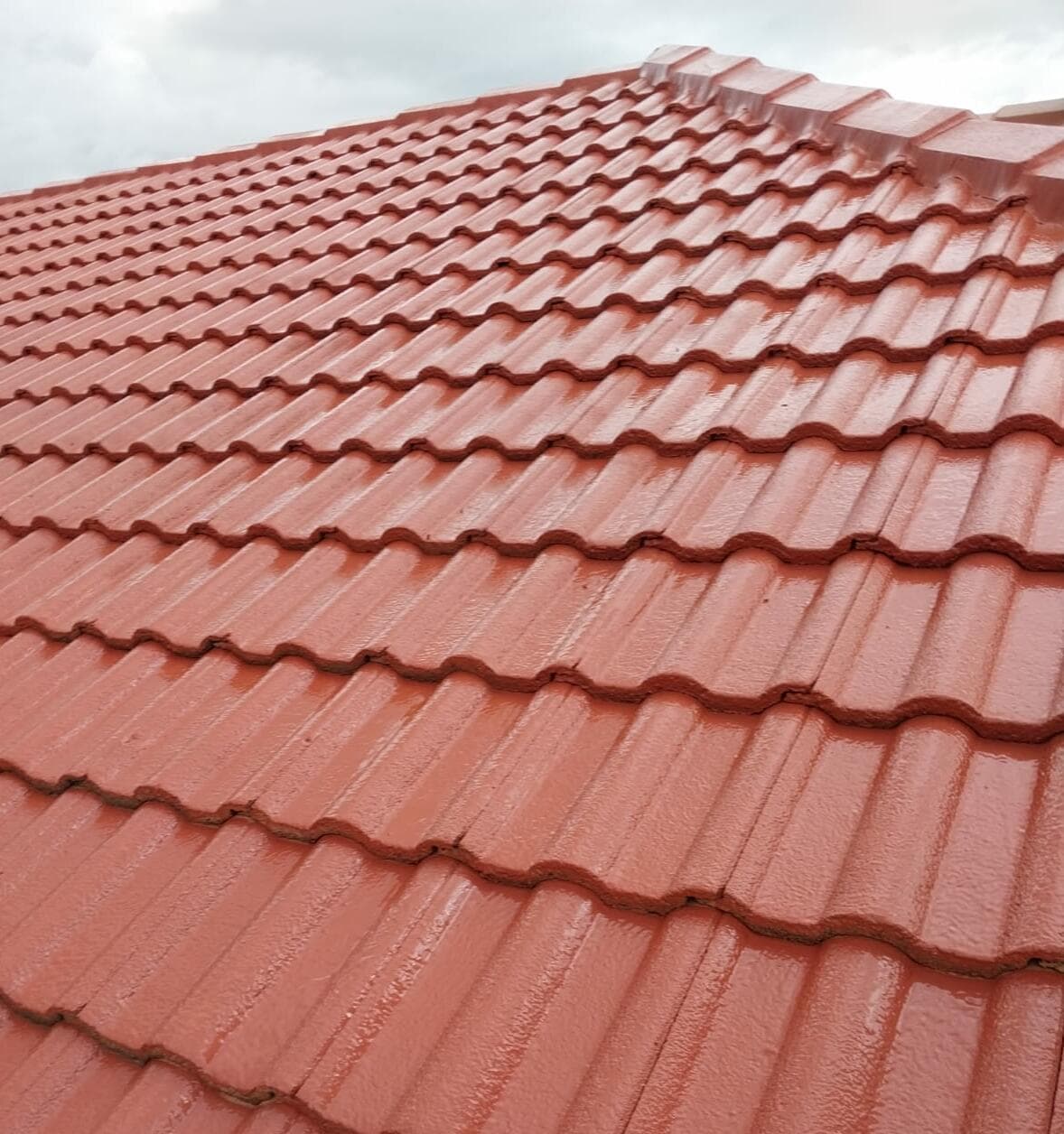 Freshly painted terracotta tile roof after restoration - Ambient Civil Auckland