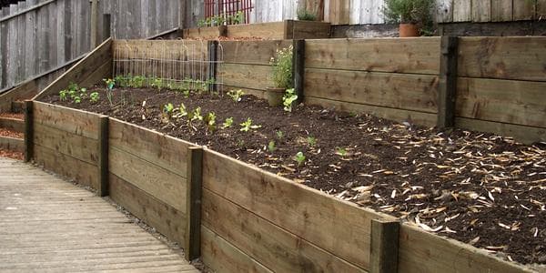 Tiered timber retaining walls forming raised garden beds - Ambient Civil Auckland